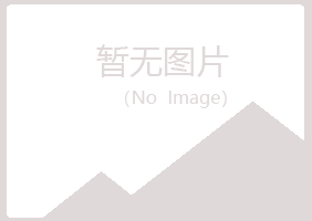 陆丰字迹金属有限公司